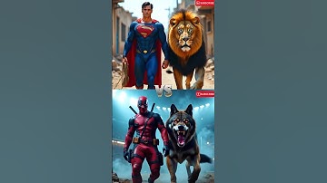 The battle between Superman, supergirl and Pet Tiger VS Deadpool, Batman, Captain America,Spiderman
