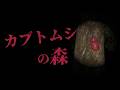 【カブトムシの森】立ち入り禁止の森で虫取りしてみた