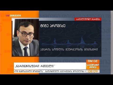 \"ნარინჯისფერი რთველი\" - ტიტე აროშიძე დეტალებით საქმიან დილაში