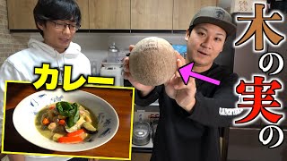 木の実から作るカレーってどんな味？