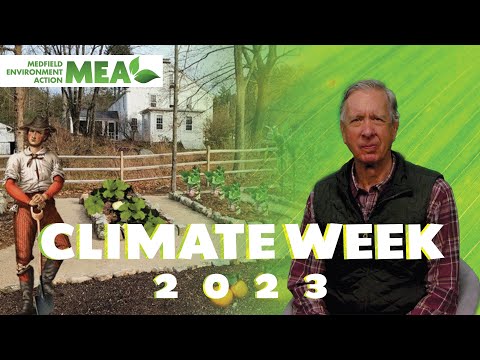 Video: Leer over koloniale tuinen - hoe u een koloniale moestuin kunt laten groeien