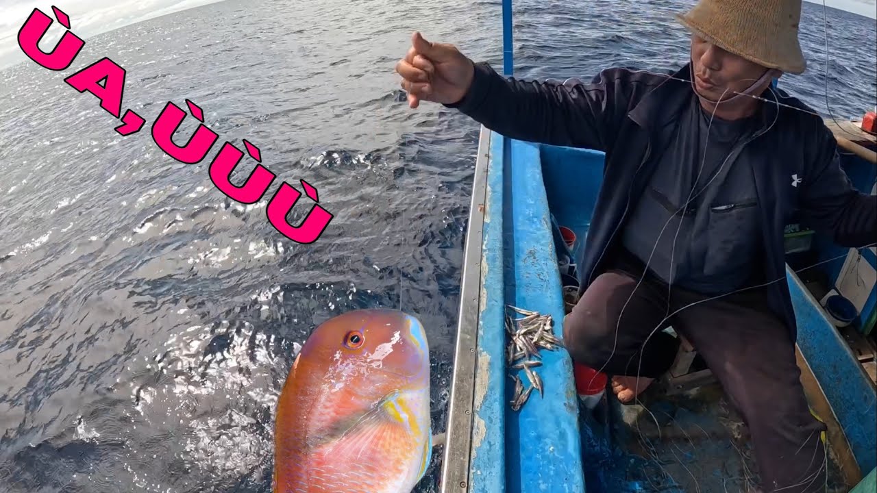 748 ) HƠN 2 THÁNG RỒI, NAY MỚI GẶP LẠI.