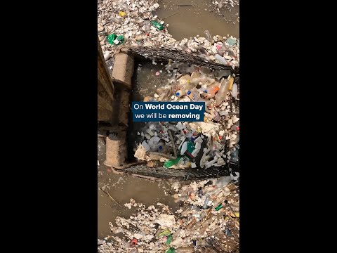 #worldoceansday