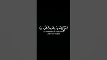 وٱصْبُرْ لِحُكْمِ رَبِّكَ فَإِنَّكَ بِأَعْيُنِنَا🌿قارئ ياسر الدوسري🌿سورة الطور🌿