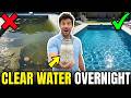 The EASIEST Way To Get Rid of Algae & Cloudy Water in Your Pool Forever!