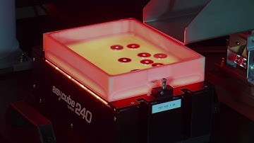 Flexible Feeder System Video