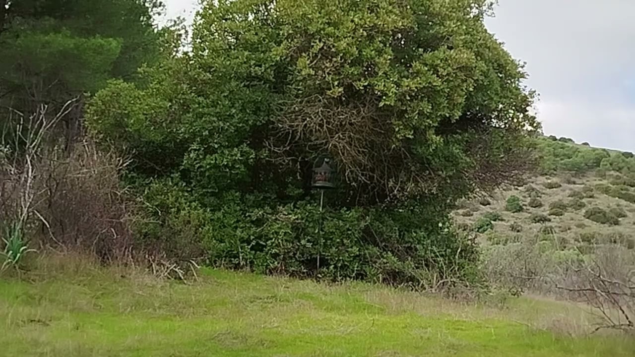 Romero Primer tiro 8 2 26