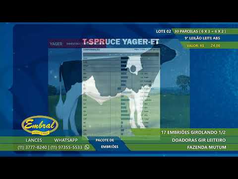 9º LEILÃO LEITE ABS | EMBRIÕES GIROLANDO 1/2