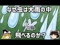 【ゆっくり解説】虫はなぜ雨に叩き落されないのか?