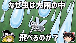【ゆっくり解説】虫はなぜ雨に叩き落されないのか？