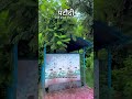 जादूई टँकी जिसमे ज्यूस 🥤 निकलाता है 😱👏🏻 #short #shorts #viral #trending #water #dailyvlog