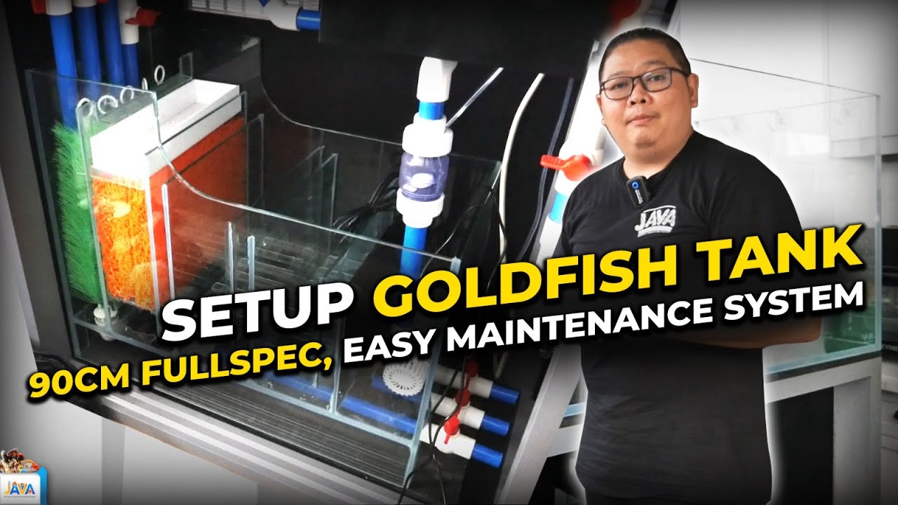 Image showcasing SETUP GOLDFISH TANK 90CM | EASY MAINTENANCE SYSTEM - YouTube
