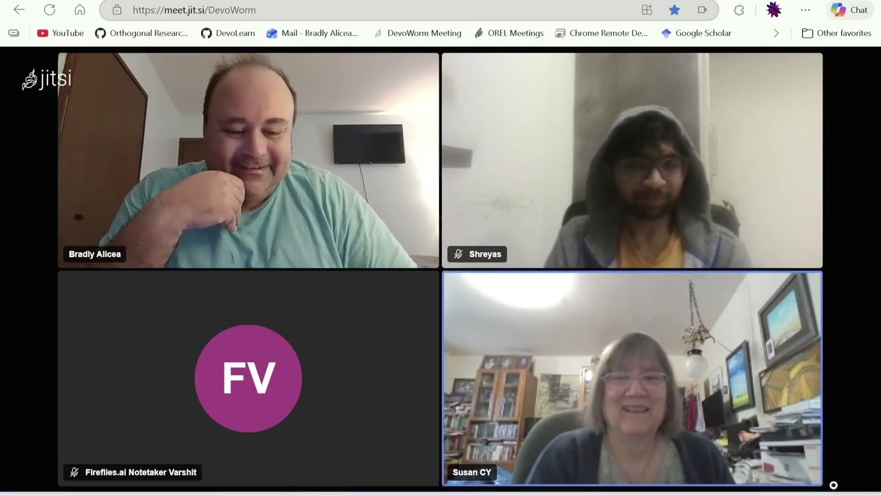 DevoWorm (2026, #1): A New Year, Neutral Theory and Function Concepts, Multiphysics and Materials