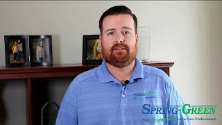 Ornamental Bed Weed Control in Edmond, OK | Spring-Green