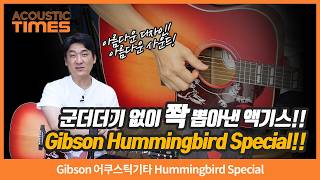 [AcousticTimes 1605회] Gibson 어쿠스틱기타 Hummingbird Special