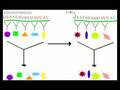 Donexodus2s how evolution works part 4 mutations for mack