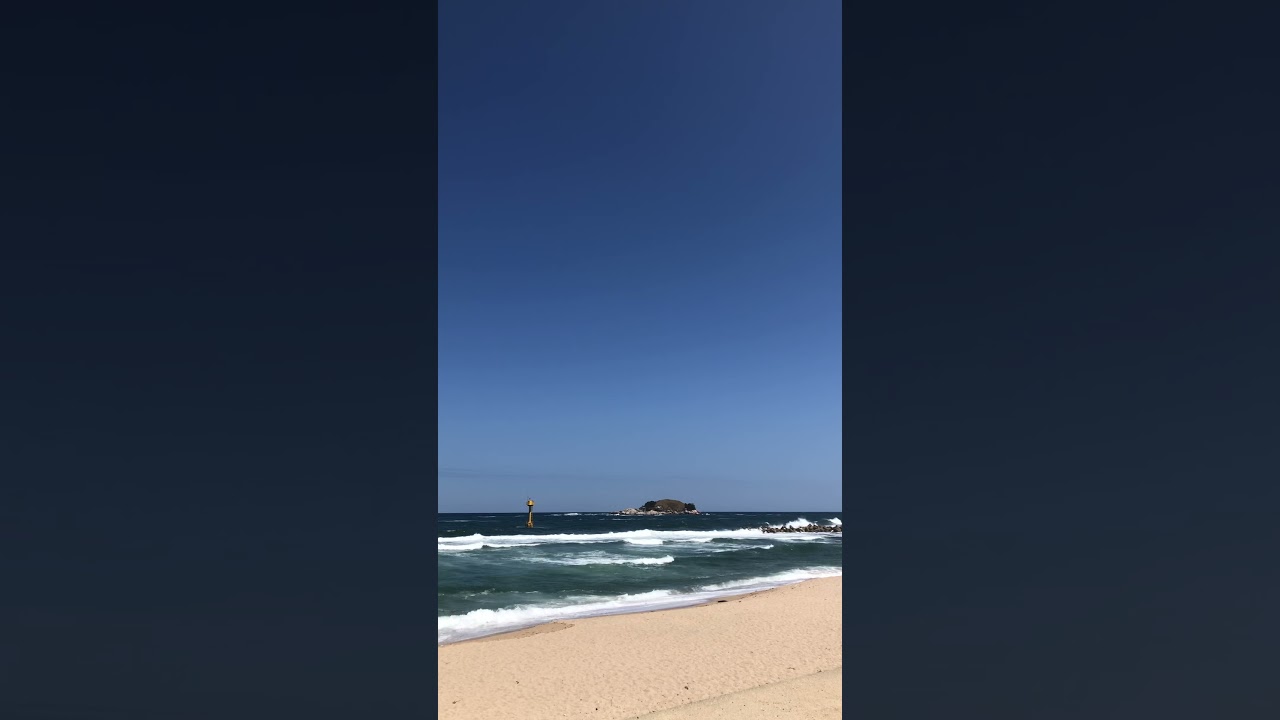 (일상) 강원도 고성 커피고