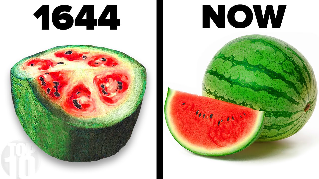 How humans have changed the way natural food looks