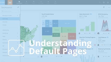 Domo Interface - Understanding Default Pages