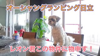オーシャングランピング日立に来てみたよ！