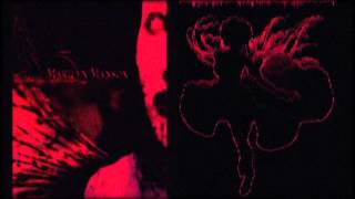 antichrist superstar