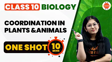 Coordination in Plants and Animals One Shot | Control and Coordination Class 10 Science Chapter-7