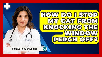 How Do I Stop My Cat From Knocking The Window Perch Off? - PetGuide360.com