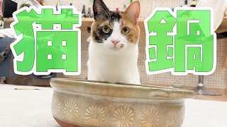 【🔴】猫たちと一緒に石狩鍋を作って食べるぞ！！ついでに猫も入れてしまおう！