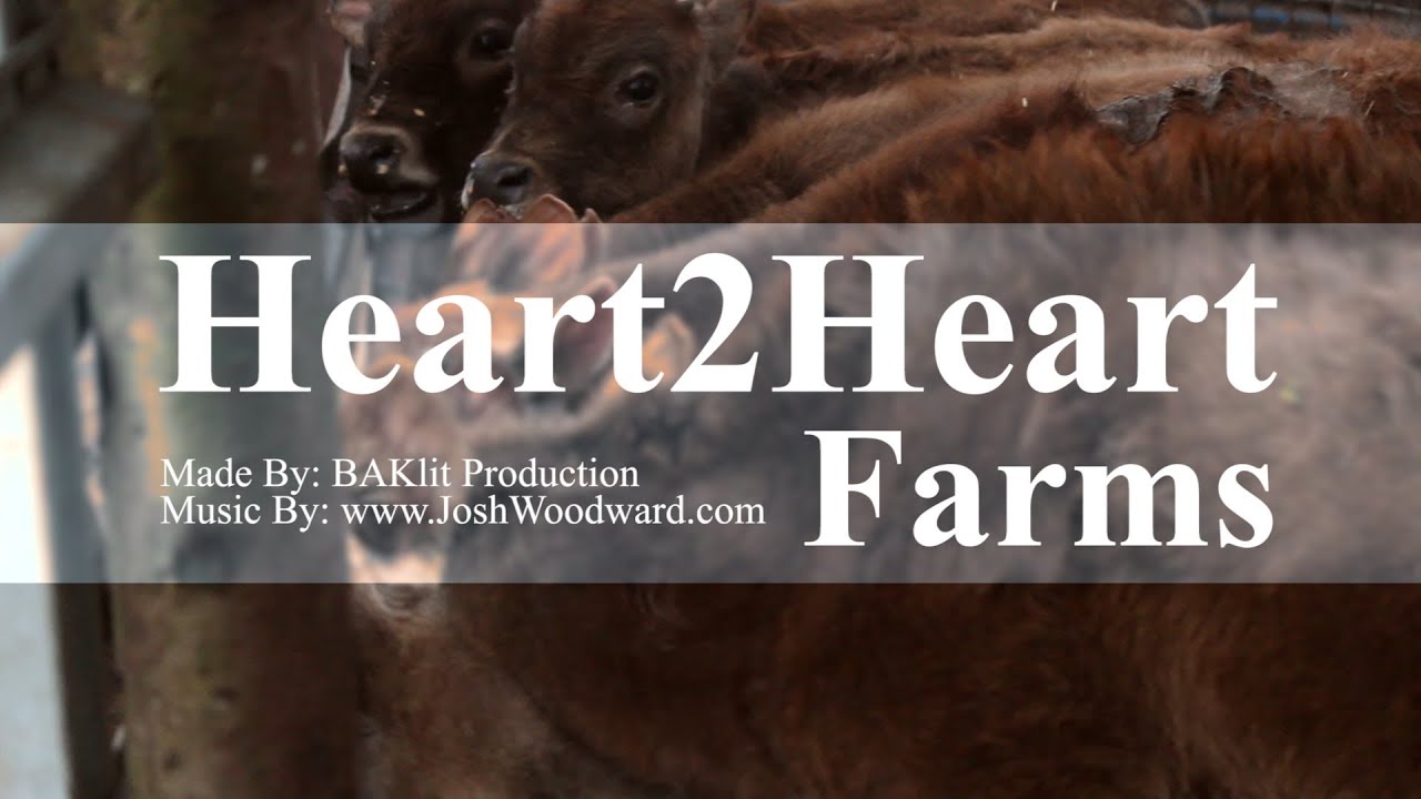 Heart 2 Heart Farms video - BAKlit Productions 