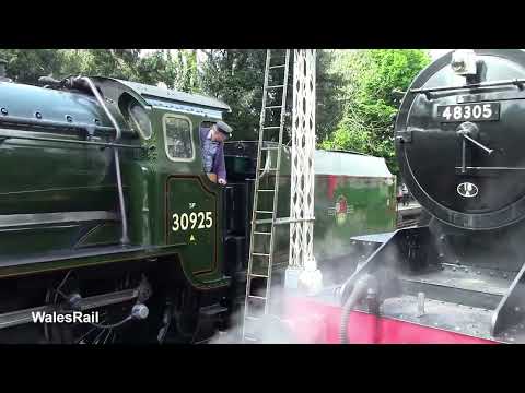 30925 'Cheltenham' Watercress