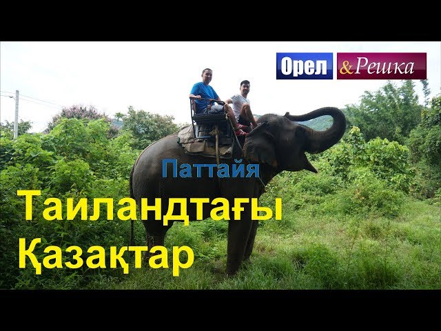 Ол көкірекшесін шешіп, кеудесін көрсетті.