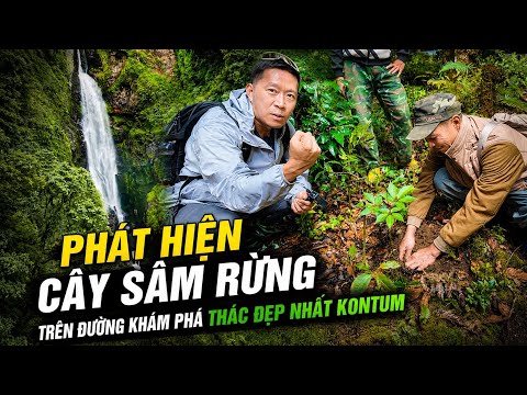 The arduous trek to the majestic waterfall in the Ngoc Linh mountains