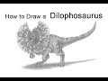 How to Draw a Dilophosaurus Dinosaur from Jurassic Park