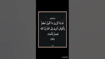 سورة غافر - سورة 40 - اية 44
