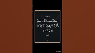 سورة غافر - سورة 40 - اية 44