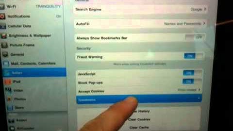 Demonstrated iPad crash