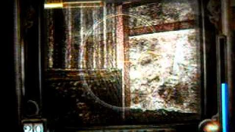 Fatal Frame~Part 11~Puzzles And MORE Puzzles!