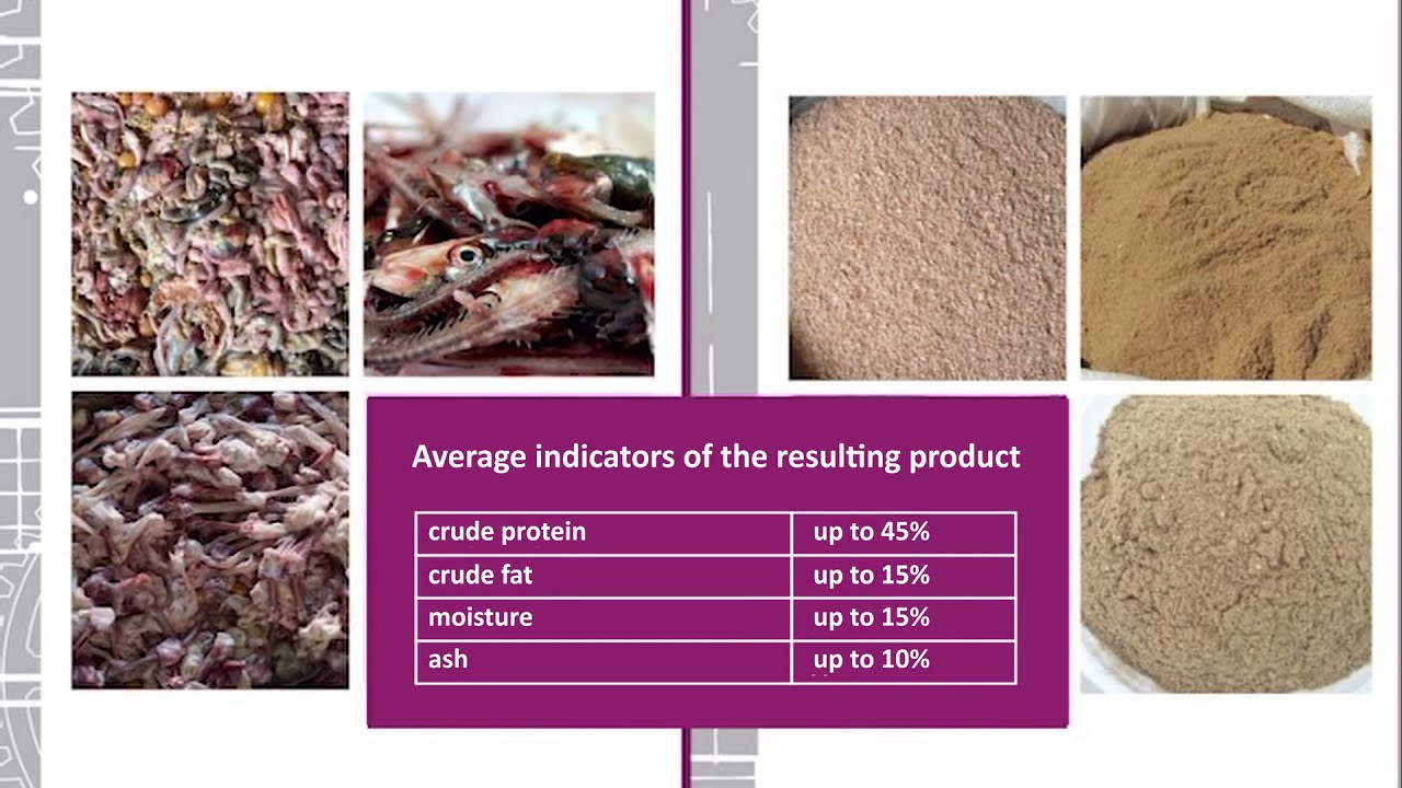 Meat And Bone Meal Composition at Ricky Jeffers blog