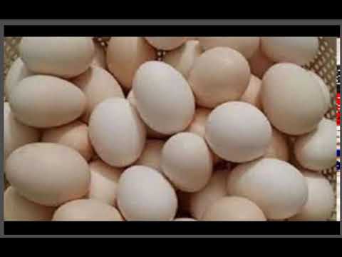 سعر كرتونة البيض يواصل الارتفاع وتراجع الدواجن في السوق