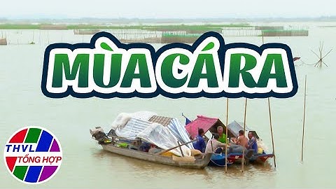 Nhịp sống đồng bằng: Mùa cá ra