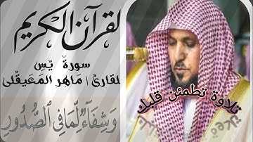 سورة يس بصوت الشيخ القارئ ماهر المعيقلي تلاوة خاشعه #قرآن #قران_كريم #تلاوات #تلاوة_خاشعة