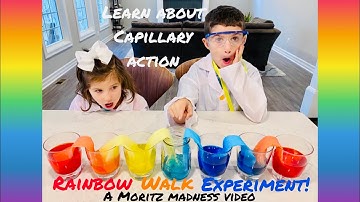 EASY DIY Rainbow Walk Science Experiment for Kids! Learn about Capillary Action!