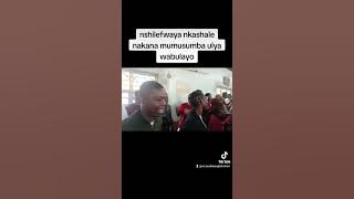 nshilefwaya nkashale