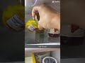 #jumpscare #funny