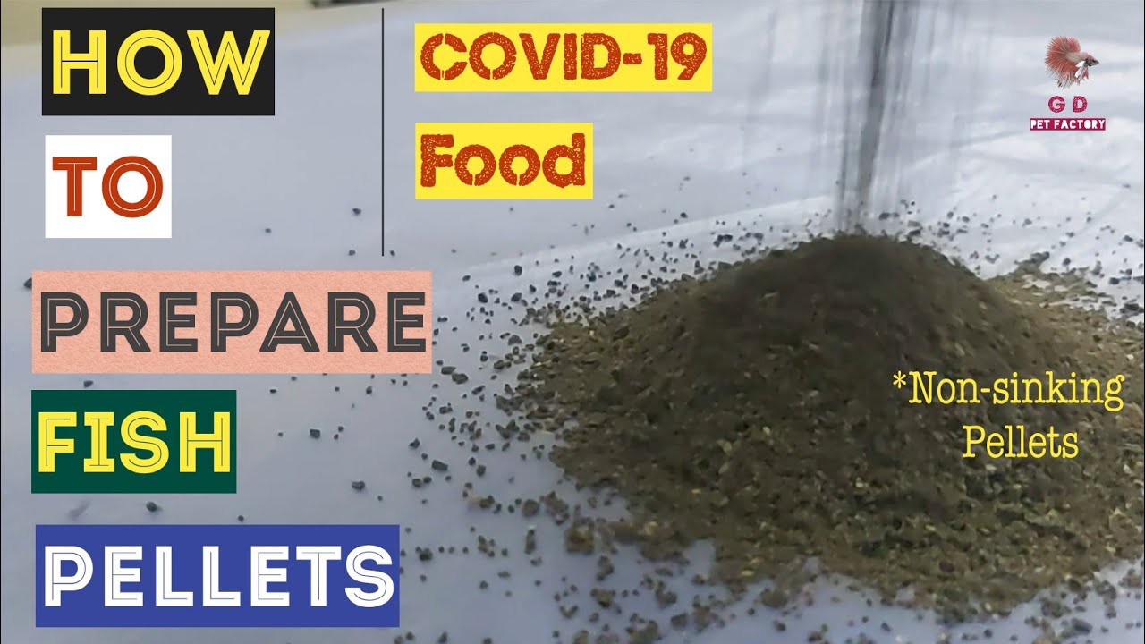 Homemade fish pellets | தமிழில் | Enhances fish colour | Protein rich | DIY fish food at home