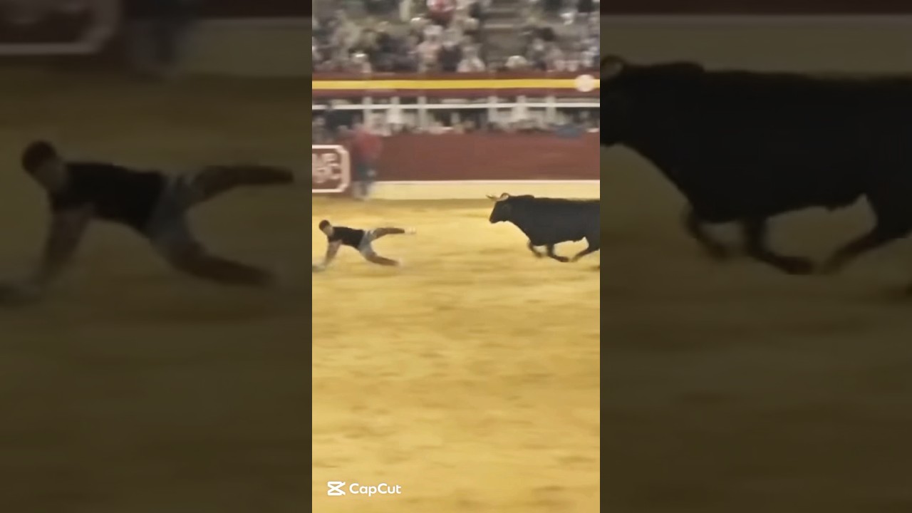 Bull 🐂 Riding |Bull Jumping |Rodeo Sports 