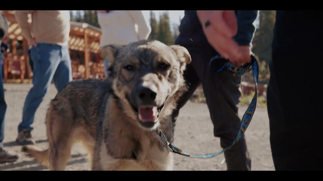 Husky Homestead, Where Solar is King