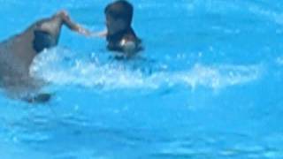 Karl with Dolphin.AVI