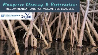Mangrove Cleanup and Restoration: Recommendations for Volunteer Leaders by UF IFAS Extension Manatee County 192 views 1 year ago 1 hour, 31 minutes