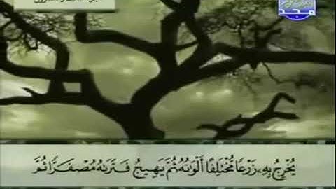 39 - سورة الزمر تلاوة مرتلة للشيخ عبد الباسط عبد الصمد - تلاوة خاشعة